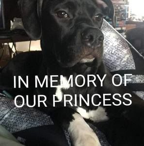 Meet your Posher, Jarrid